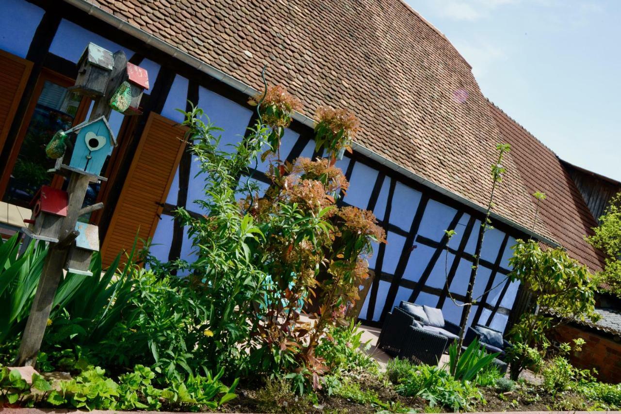 Le Clos Bleu - Gite Rural Schillersdorf Eksteriør bilde
